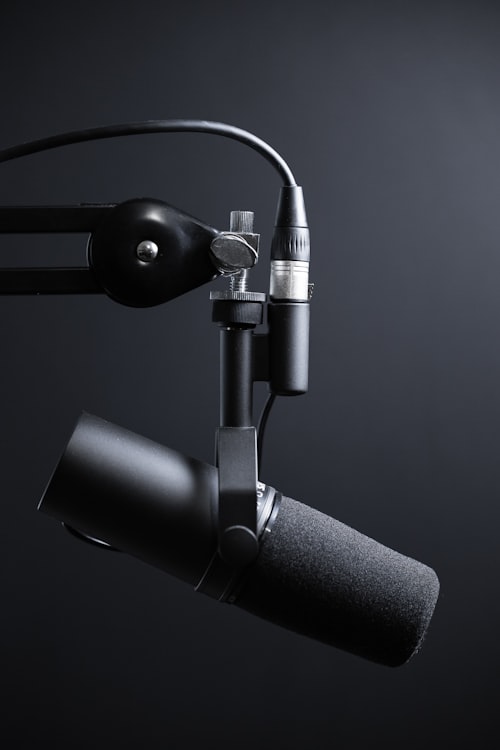 Micrófono profesional